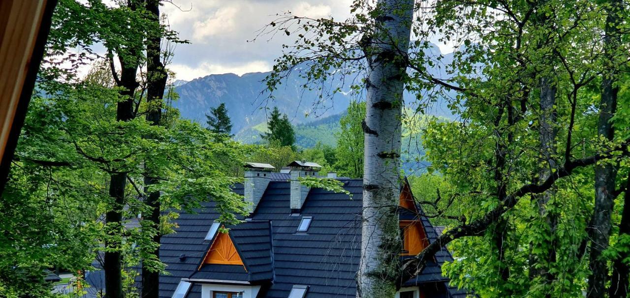 Vip Apartamenty Cristal Zakopane Exteriör bild