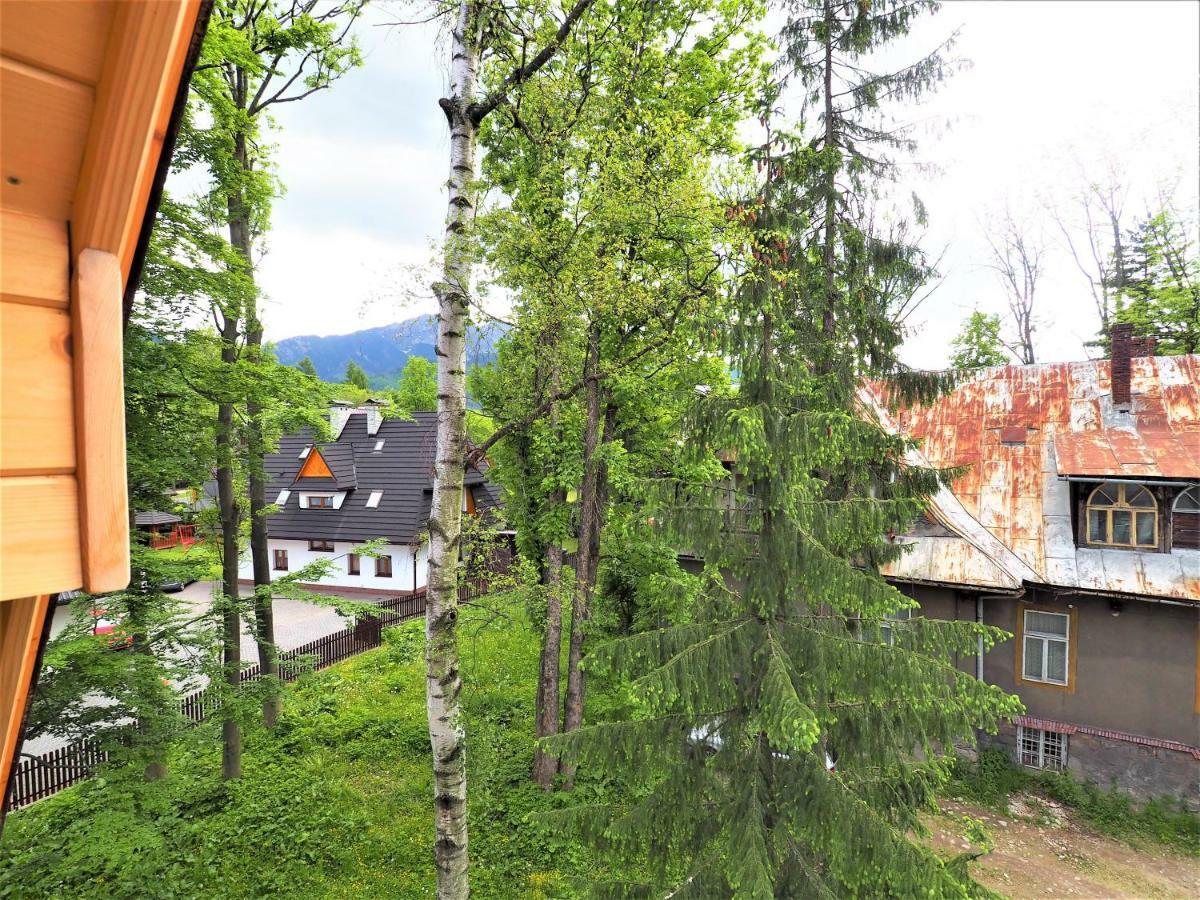Vip Apartamenty Cristal Zakopane Exteriör bild